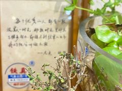 -铁真·刨冰红焖羊肉·正宗老字号