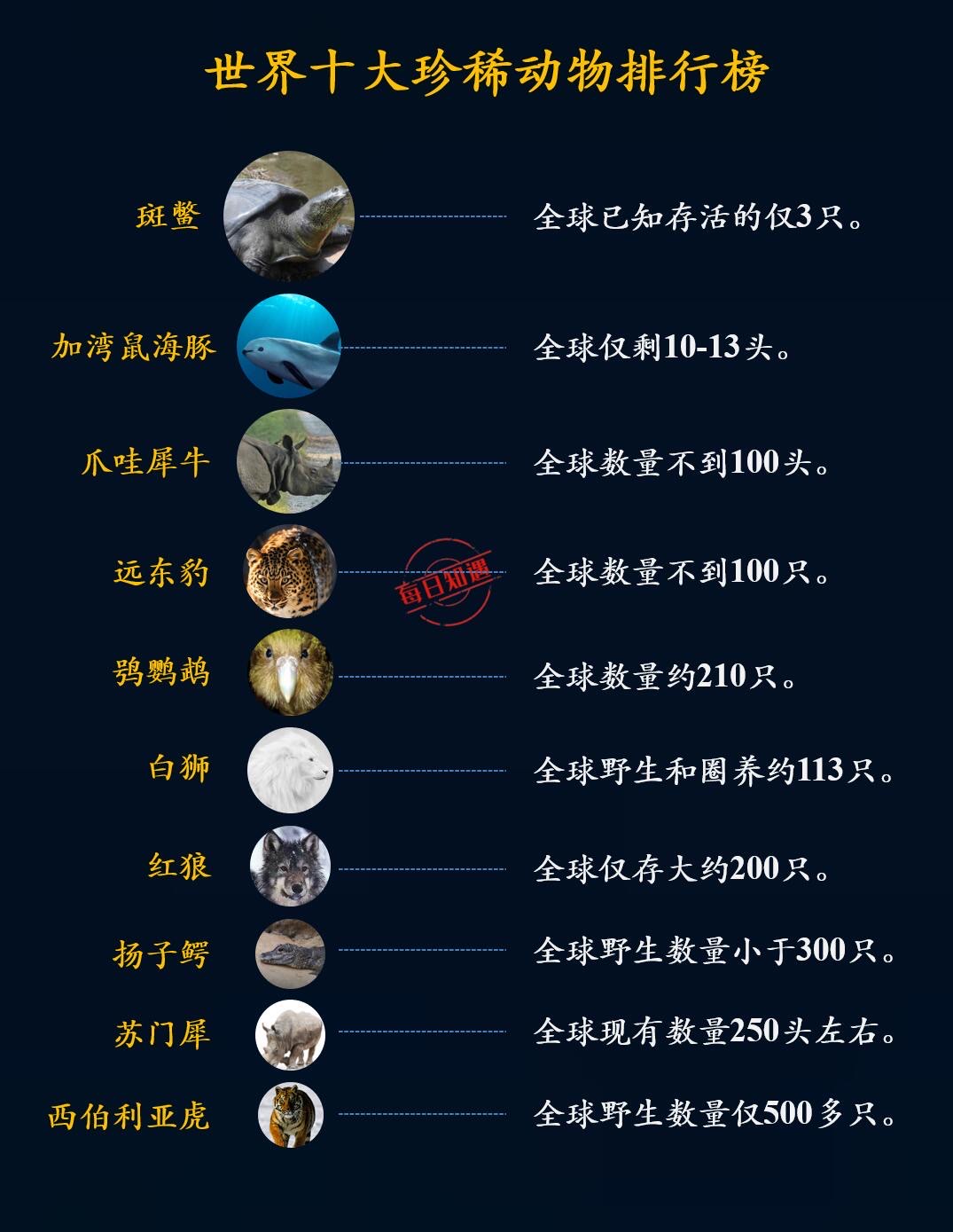 100种稀有动物名字