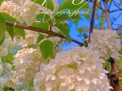 -大龙山(地铁站)