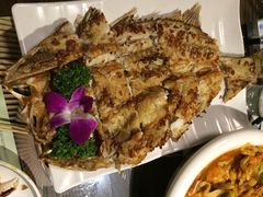 前海沿儿-鲁前海沿儿