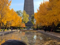 -玲珑塔公园
