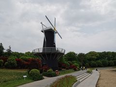 -上海鲜花港