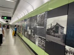 -香港大学