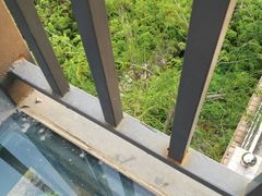 -狐尾山公园