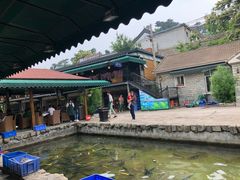 -京北渔家傲