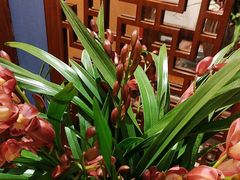 -顺峰(农展馆店)