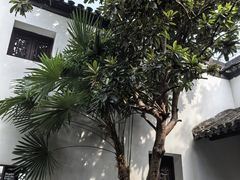 -南京市民俗博物馆(甘熙故居)