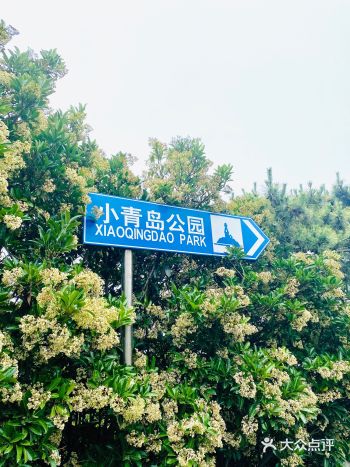 小青岛是青岛的一个小众打卡地 当然也不是人很少