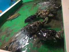 -常州海昌海洋探索馆
