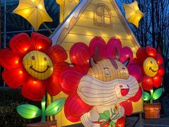 -南宫五洲植物乐园