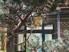 -佛冈森波拉度假区