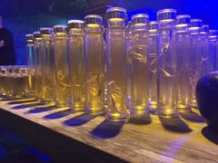 -云岭野山参风景区