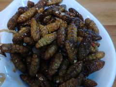 -食鸡公社辣子鸡·潍坊菜·烧烤