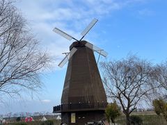 -漩门湾国家湿地公园