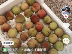 -上海市松江华阳敬老院