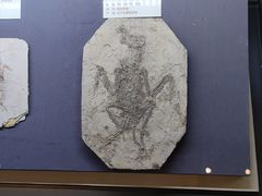 -天津自然博物馆