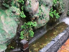 -张鸟园农家乐(张鸟园店)