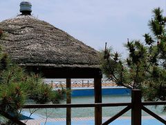 -渡海小渔村.老辈日照菜