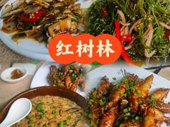-崖口红树林海鲜餐厅