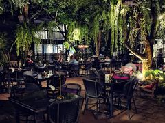 -Fern Forest Cafe