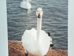 -IPARK购物中心