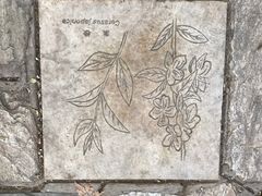 -北京大学-燕南食堂