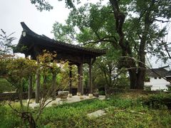 -塔川景区