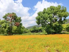 -长广溪湿地公园