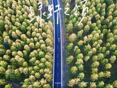 -塞罕坝国家级自然保护区