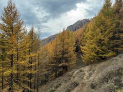 -苏木山森林公园