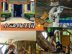 -海合安武汉极地海洋公园