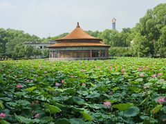 -玉佛苑