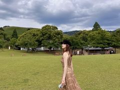 -奈良公园