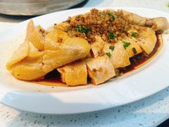 沙姜鸡-肥仔文澳门猪骨煲(南京西路店)