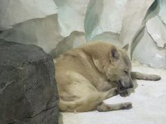 -大连圣亚海洋世界