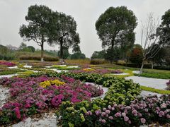 -院士公园
