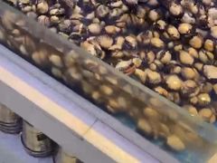 -集品鲜湾·蒸汽海鲜自助料理(青岛银座和谐广场店)