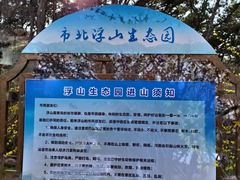 -浮山香苑