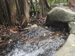 -燕晗山郊野公园