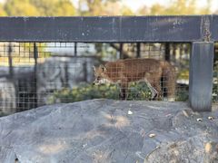 -武汉动物园