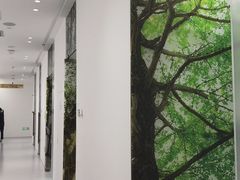 -极简口腔(总院)
