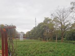 -光明农场大观园