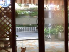 -隅cafe(傅厚岗店)