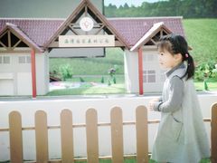 -上海都市菜园