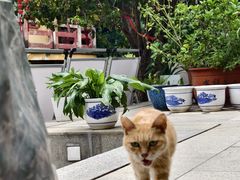 -福州开元寺