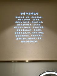 -王妃SPA·美容·科技抗衰