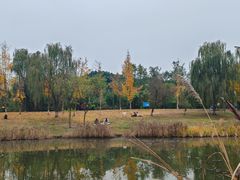 -白鹭湾湿地公园