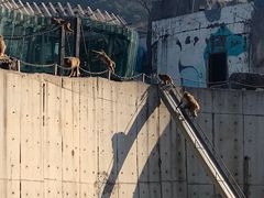 -无锡动物园·太湖欢乐园