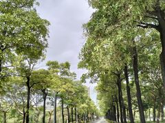 -华侨大学(厦门校区)