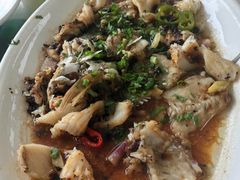 -八仔大富楼·河鲜(西江店)